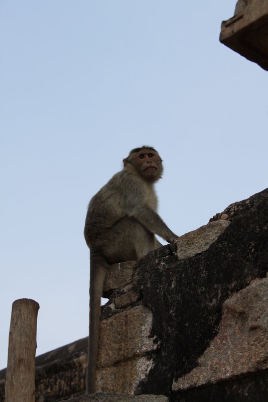 Virupaksha Temple